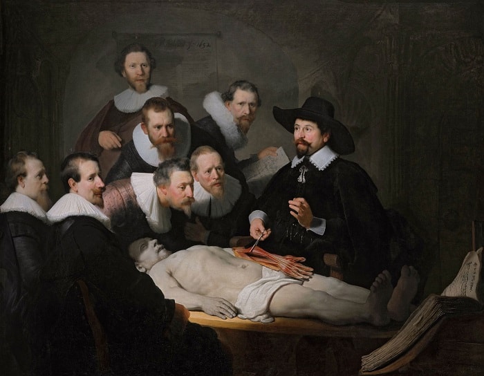 Rembrandt's 1632 painting, The Anatomy Lesson of Dr. Nicolaes Tulp, depicts newly appointed public anatomists to The Amsterdam Guild of Surgeons, wealthy members of the guild paid to be featured in the painting; the cadaver was the body of Aris Kint, who was executed for stealing a coat before being punished one last time with dissection.