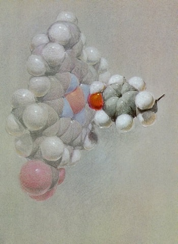 This drawing (left) shows the faulty side chain (right) causing anemia by not stabilizing this part of the hemoglobin molecule.