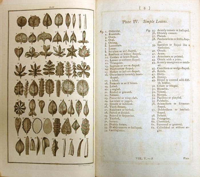 Systema naturae, one of the greatest works in natural science history.