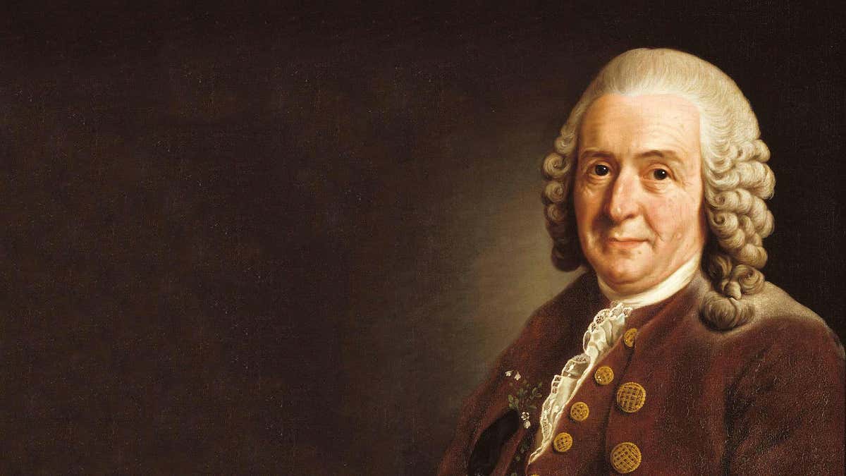 Carl Linnaeus: The botanist who named nature