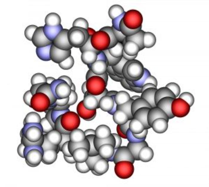 Gonadotropin-releasing hormone (GnRH)