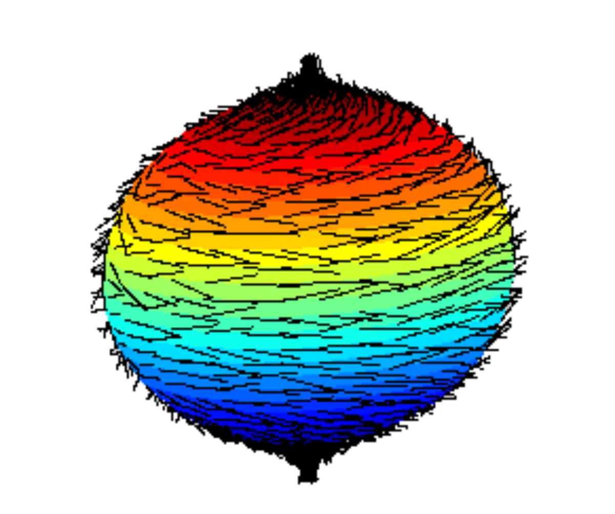 Hairy ball theorem: What is it?