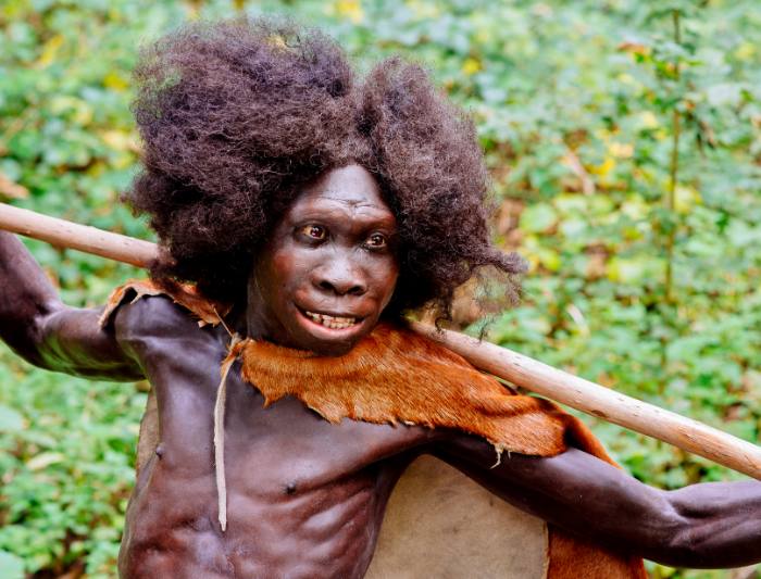 Homo erectus Turkana Boy