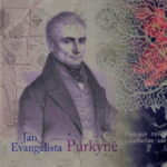 Jan-Purkinje