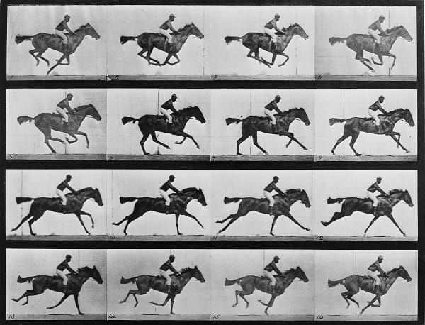 Muybridge invented the zoopraxiscope to refute the claims that the moving horse pictures he took were not true.