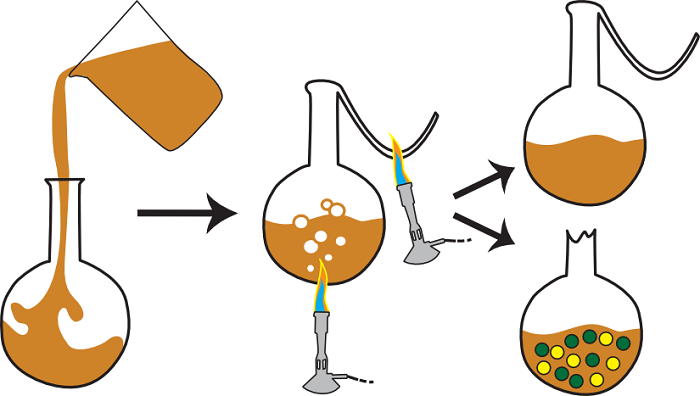 Pasteur