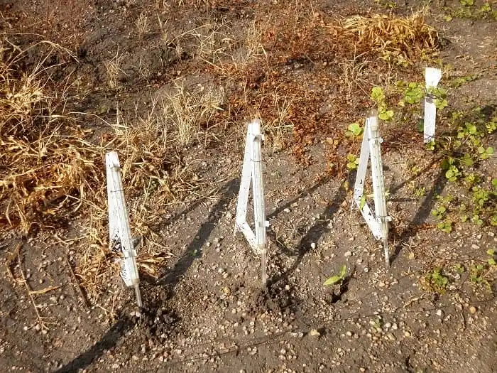 The 1990s - Soil thermometers