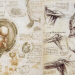 Study-of-anatomy-and-its-history