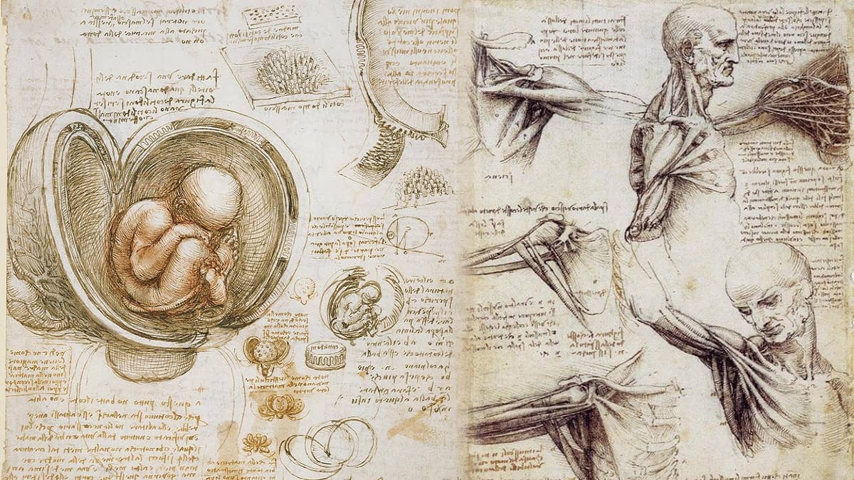 Study-of-anatomy-and-its-history