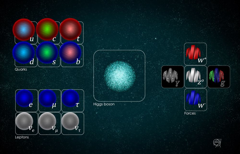 The Standard Model of particle physics places a significant emphasis on the Higgs boson. (© CERN / Daniel Dominguez)