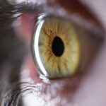 Why can't you see your own eye movements?