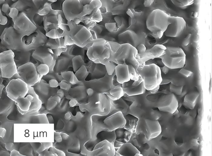 composite membrane. The ethyl acetate