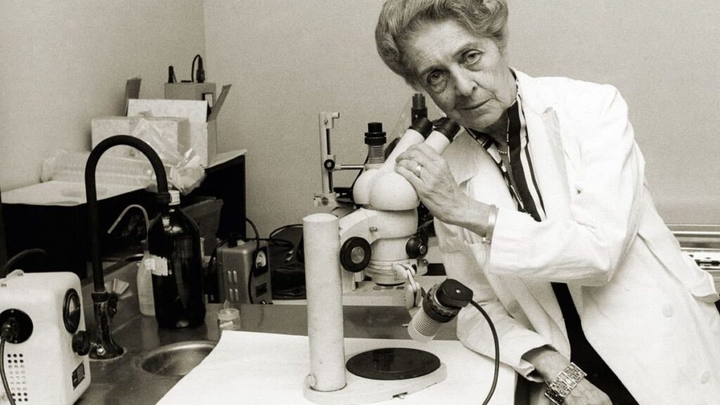 Rita Levi-Montalcini: The discovery of the Nerve Growth Factor