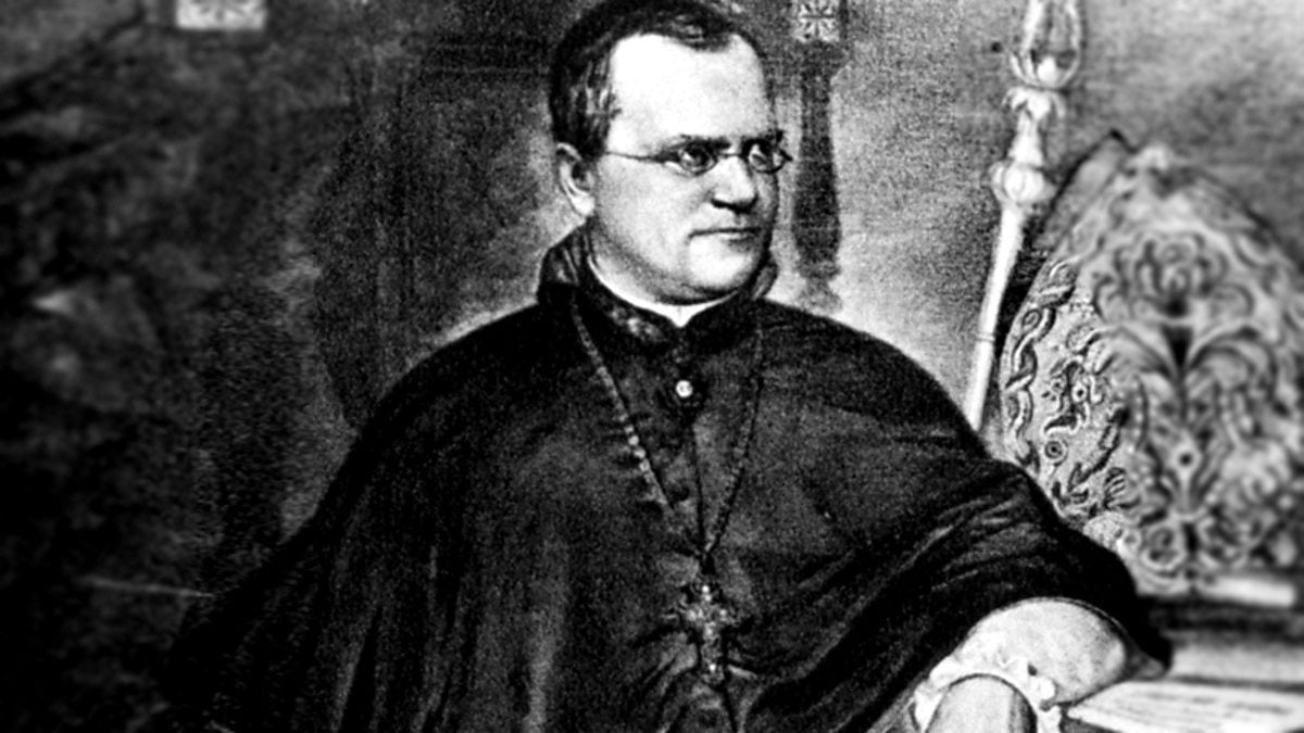 gregor mendel 2