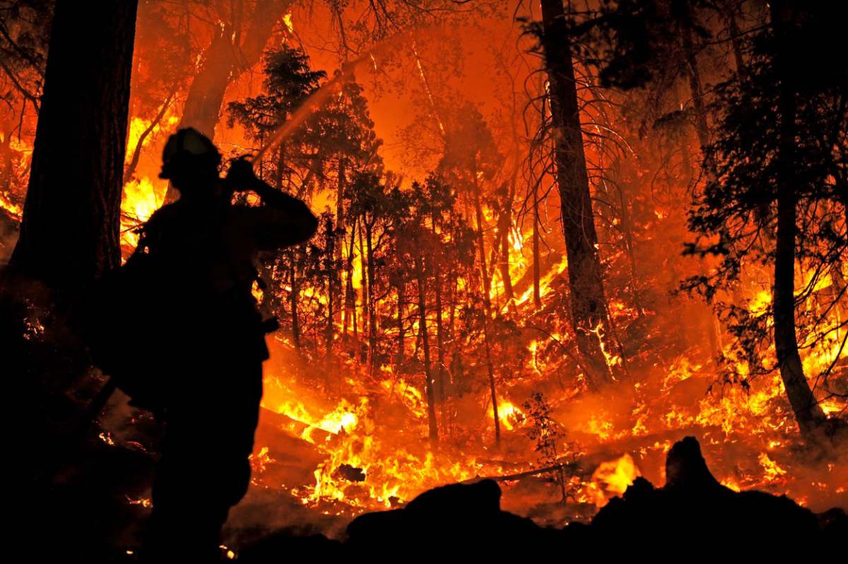 In California, firefighters are battling the Lake Fire. (Image credit: Brandi Carlos)