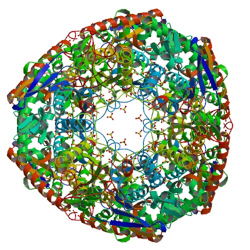 The structure of the enzyme polynucleotide phosphorylase is determined via crystallization.