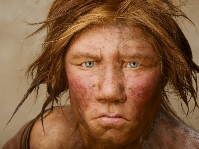 "Wilma," a reconstruction based on DNA, had red hair, freckles, and a pale complexion, much like other Neandertals. Credit: Joe McNally.