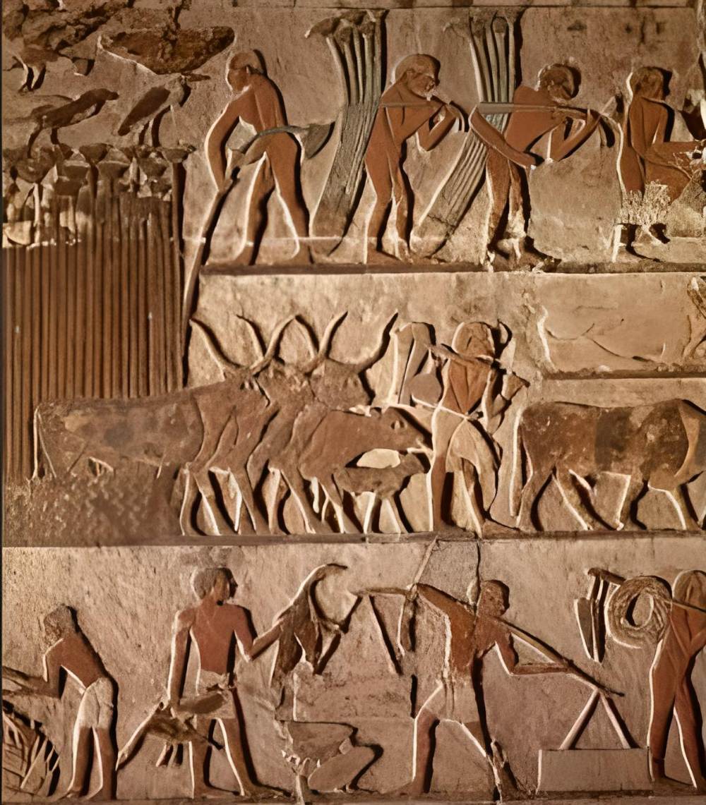 Agriculture of Ancient Egypt.