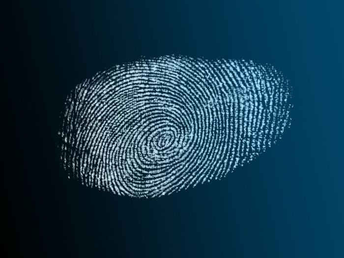 fingerprint