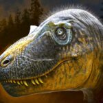 Daspletosaurus wilsoni