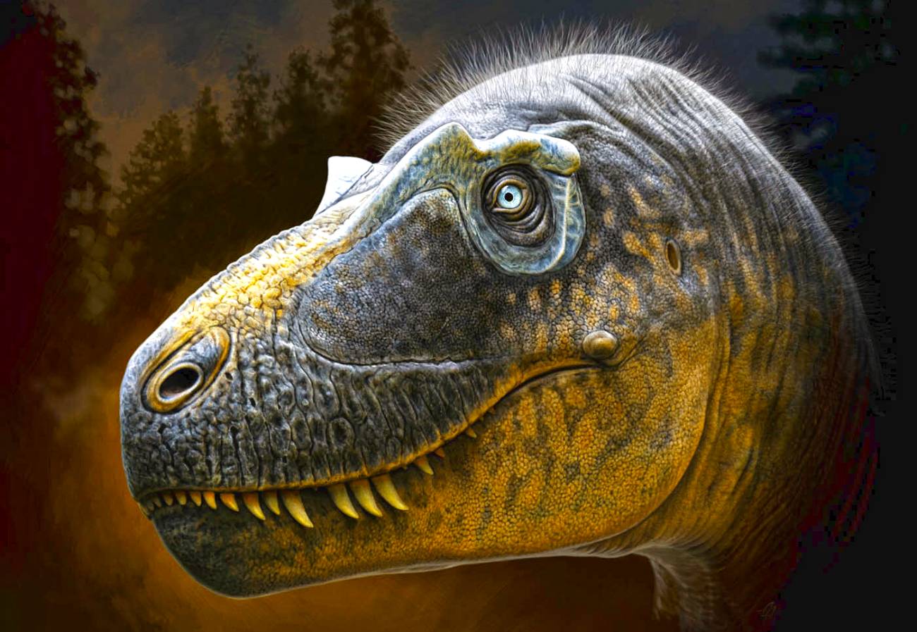 Daspletosaurus wilsoni