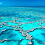 How the Great Barrier Reef was formed