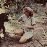 Jane Goodall