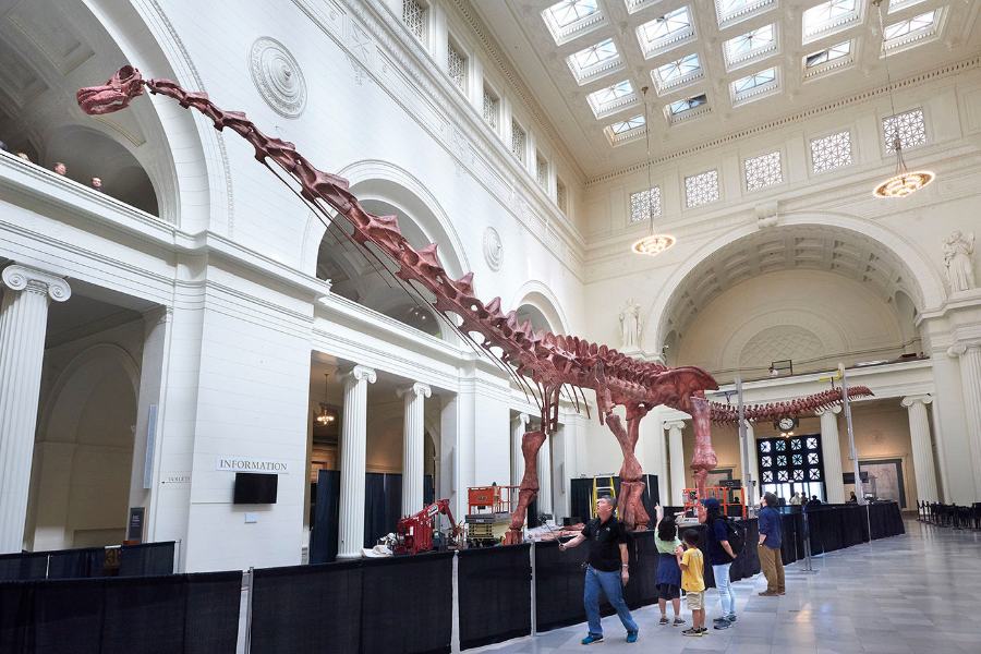 Patagotitan mayorum skeleton in Field Museum