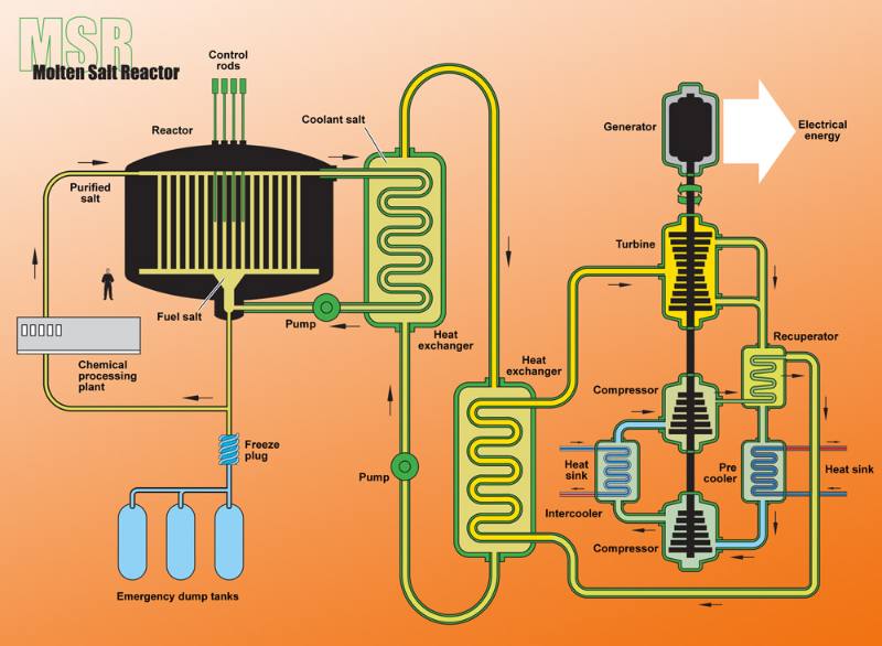 The structure of the molten salt reactor