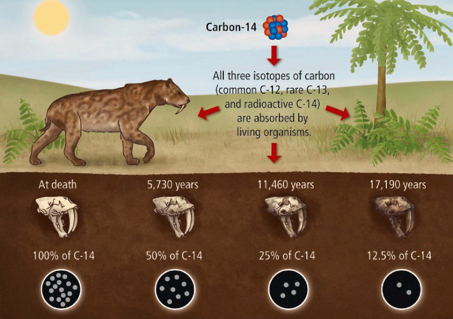 Radiocarbon dating method