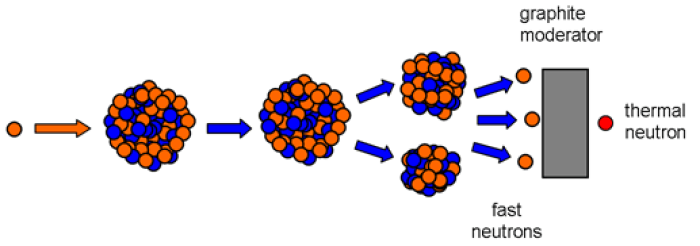 Thermal neutrons are the only kind of neutron with a high enough chance of splitting additional U-235 nuclei to start or sustain a chain reaction.