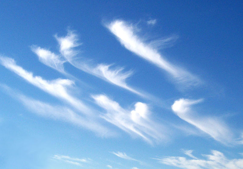 Cirrus cloud