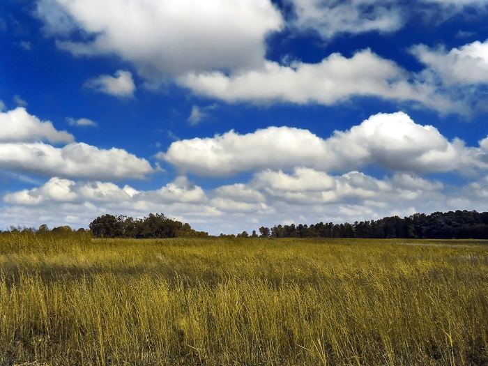 Cumulus cloud