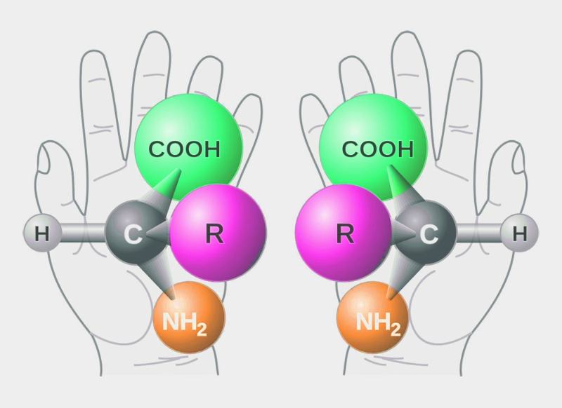 Many molecules occur in two mirror-image variants, the enantiomers.