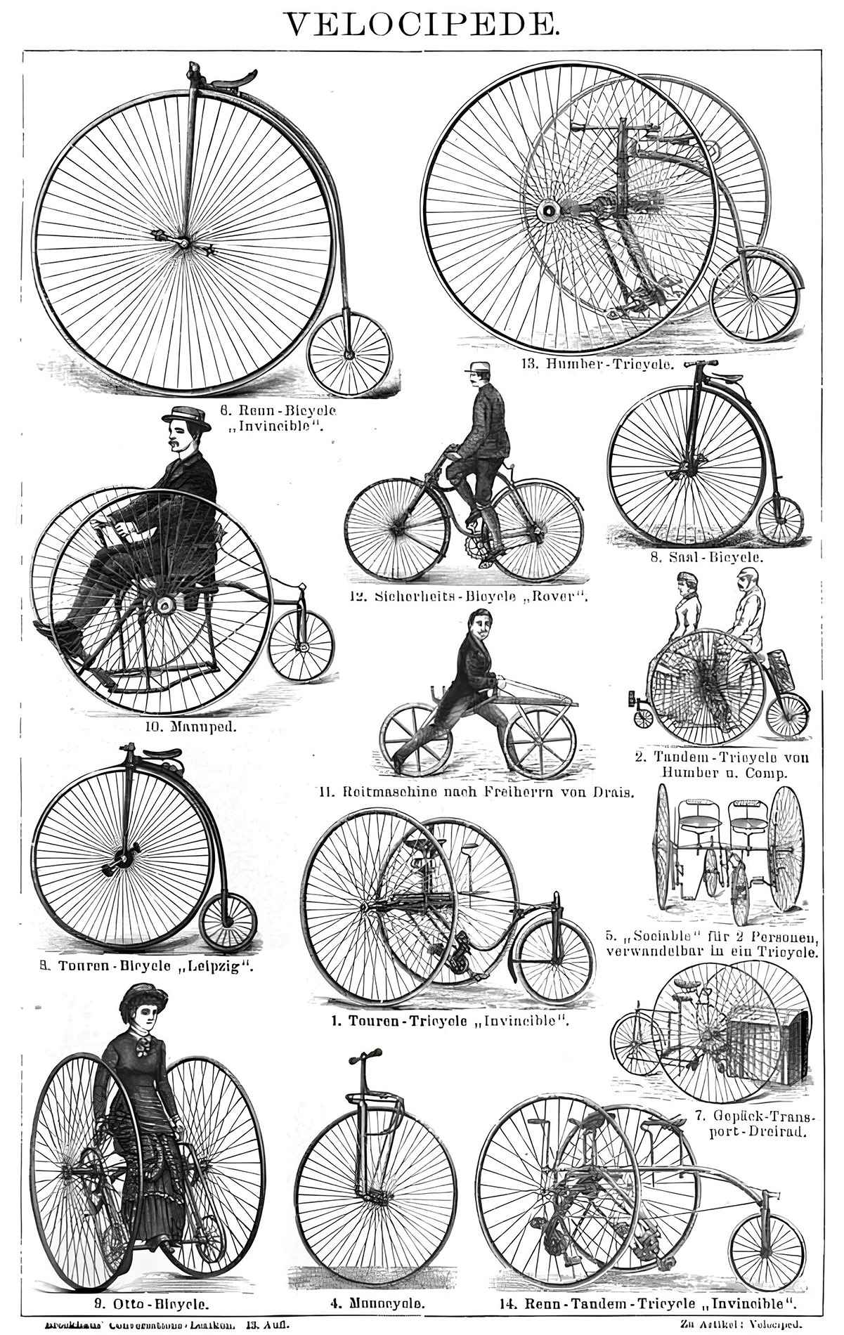 evolution of velocipede