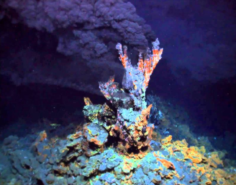 A deep-sea hydrothermal vent