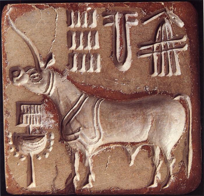 A depiction of the single horned bull in an Indus seal with Indus hieroglyphs.