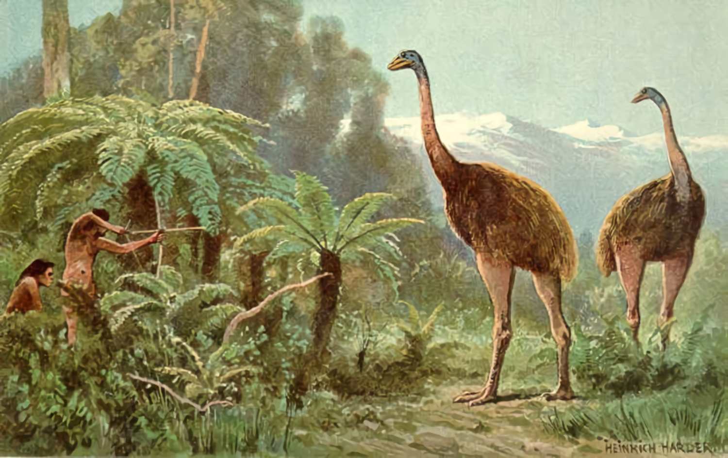 Humans wiped off the gigantic birds of Moa by overhunting them to extinction.