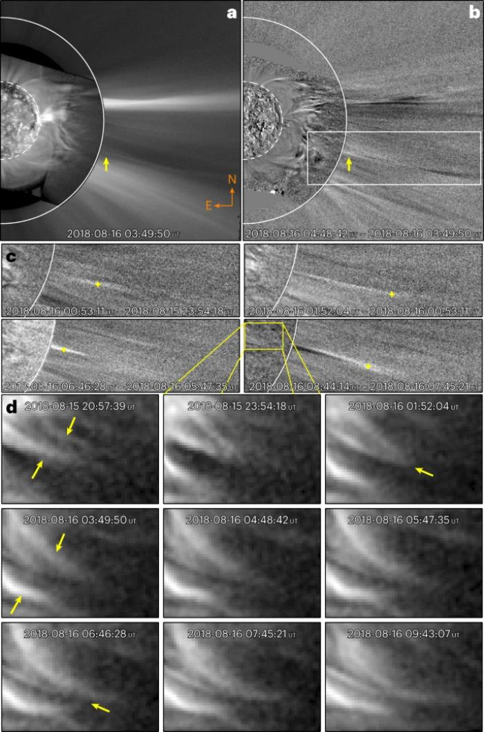 new corona structure 2