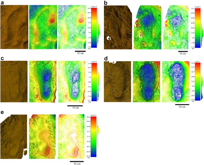 the Cussac footprints