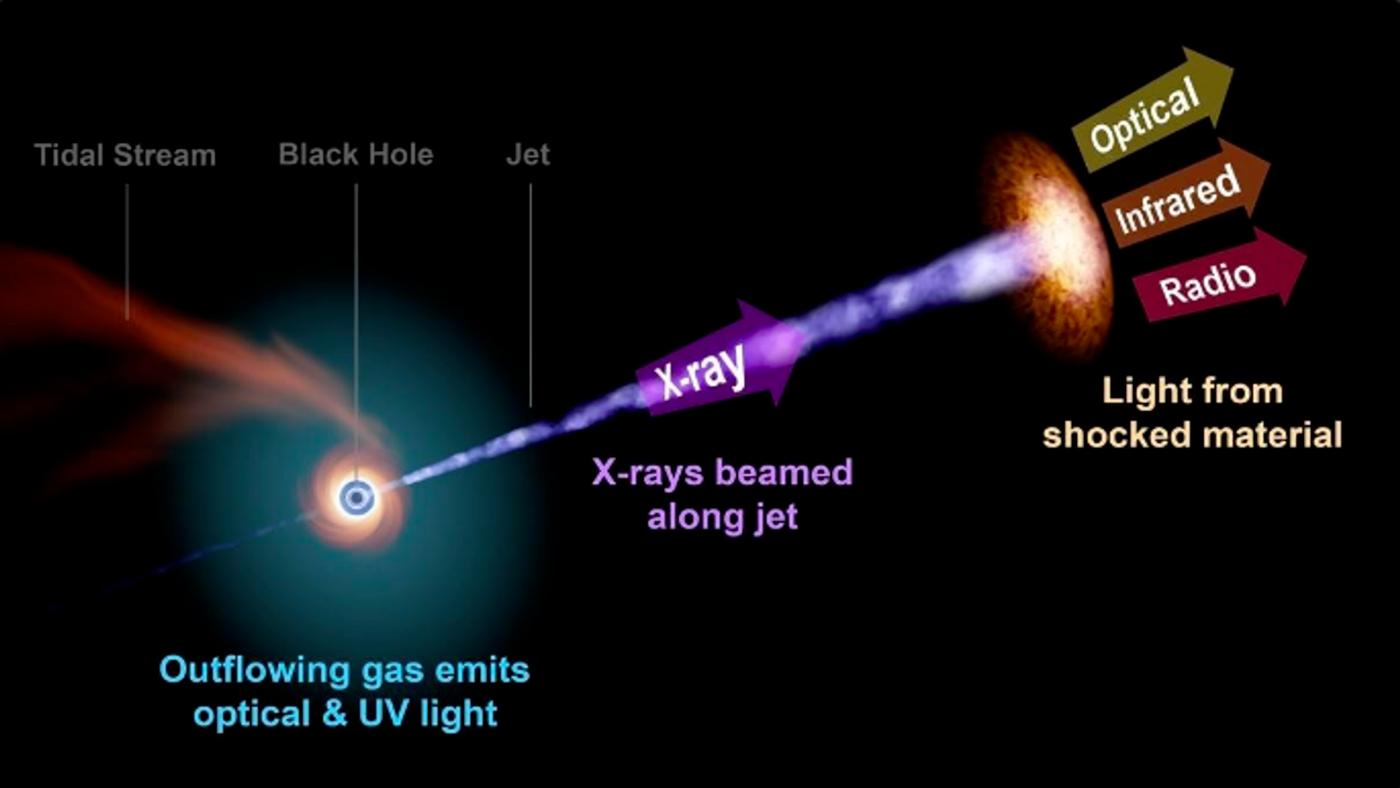 When a star gets too near a black hole, it is eaten. The AT2022cmc event is the furthest one seen thus far.