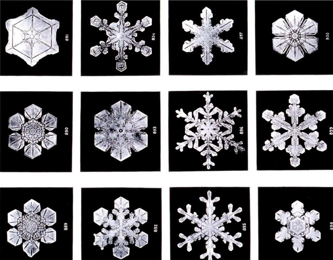 Snow crystals with many shapes