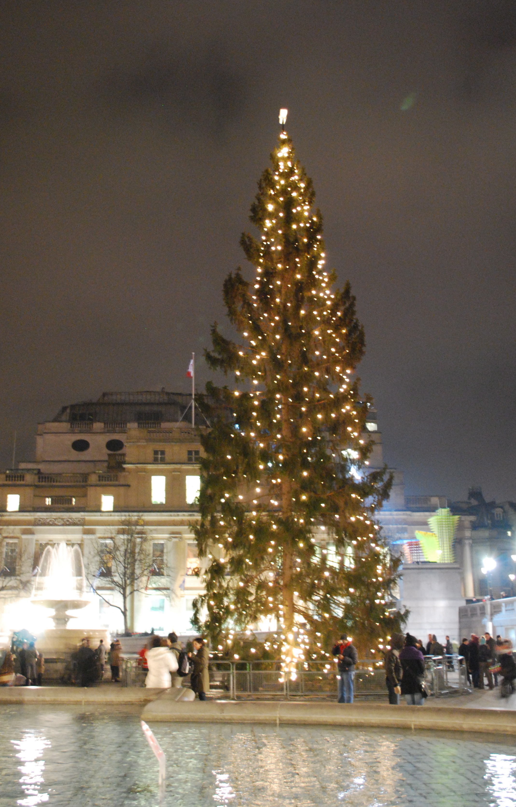 Trafalgar Square Christmas trees .