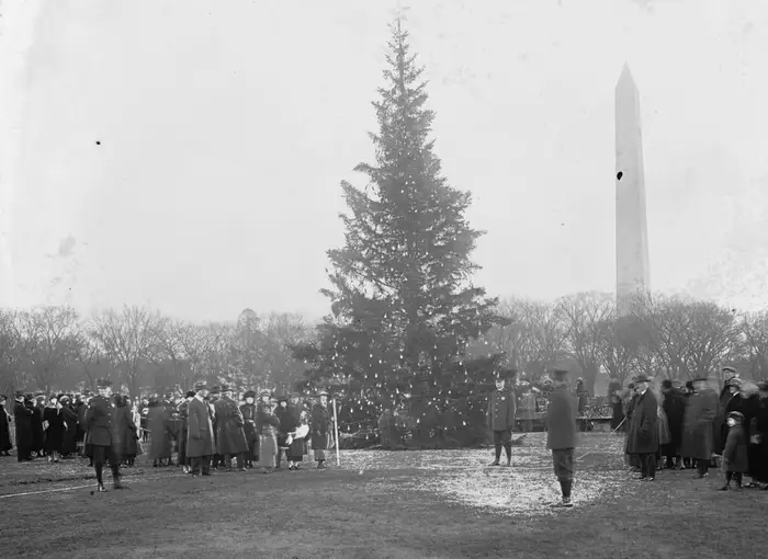 The National Christmas Tree of 1929. (Image: Congress's Library)