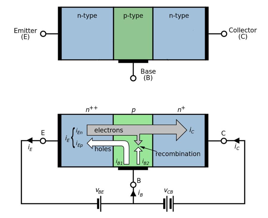 The basic operating concept of a bipolar transistor. Initially, the two n-p junctions form a barrier. Electrons flow from the emitter to the collector, and positively charged "holes" flow from the base to the emitter when a voltage is supplied to the base, reducing the barriers between the two regions.