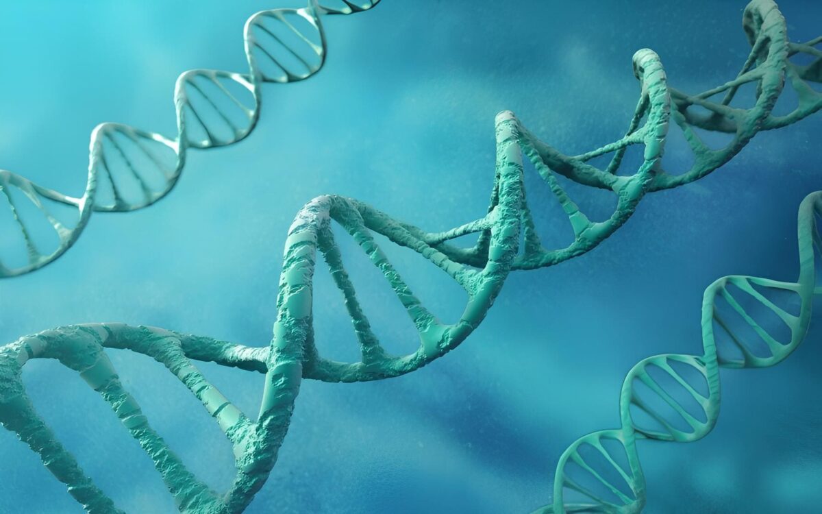 New Antibody Against Alzheimer’s Disease