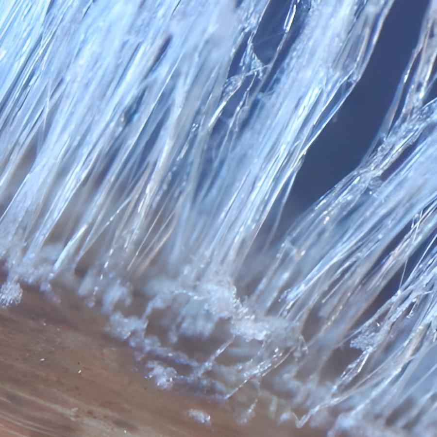 Scaled-up version of hair ice on beechwood; image width 0.125 inches (3.2 mm).