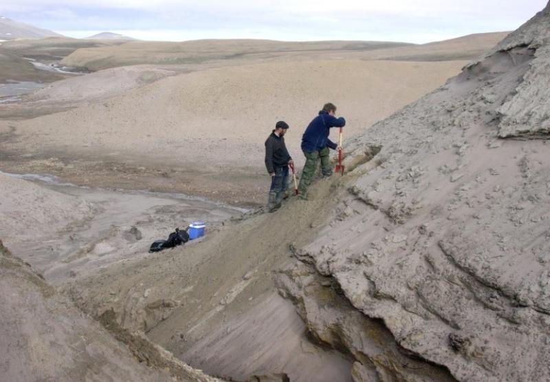 At now, this is how the northern part of Greenland, known as Peary Land, appears.