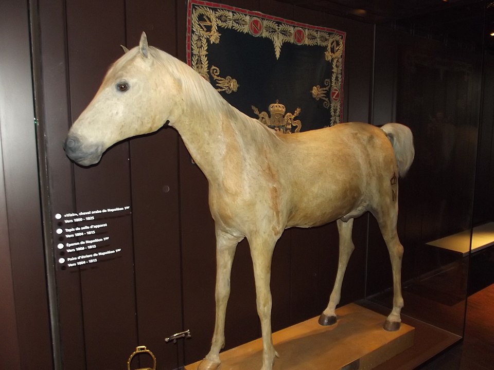 The Vizir before its restoration in the Paris, The Army Museum.