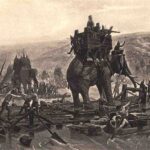 Hannibal's elephants with towers